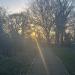 One Tree Hill in London city