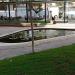 Fish Pond (en) in תל אביב - יפו city