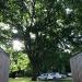 Priory Churchyard in Nottingham city