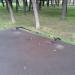 Парковка для самокатов в городе Москва