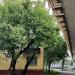Малая Тульская ул., 45а корпус 5 в городе Москва