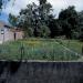 Moestuin en boomgaard