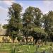 Holy Trinity Churchyard in Luton city