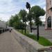 Газон в городе Москва