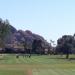 Arizona Country Club in Phoenix, Arizona city