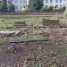 Dwa? groby M. Brodaty. Okopowa 45 w Warszawie (pl) in Mińsk Mazowiecki city