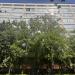 Российская академия образования (РАО) в городе Москва