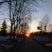Аллея в городе Череповец