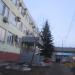Ель в городе Череповец