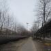 Мачта в городе Череповец