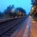S-Bahn-Haltestelle Essen-Holthausen in Stadt Essen