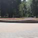 Клумба в городе Москва