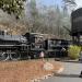 Dollywood Express Train Station