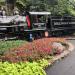 Dollywood Express Train Station