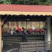 Dollywood Express Train Station