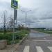 Газон в городе Москва