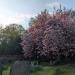 Heslington Church in York city