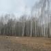 Водопропускная труба в городе Череповец