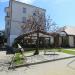 Декоративное дерево в городе Советск