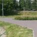 Цветник в городе Москва