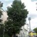Придомовая территория в городе Москва