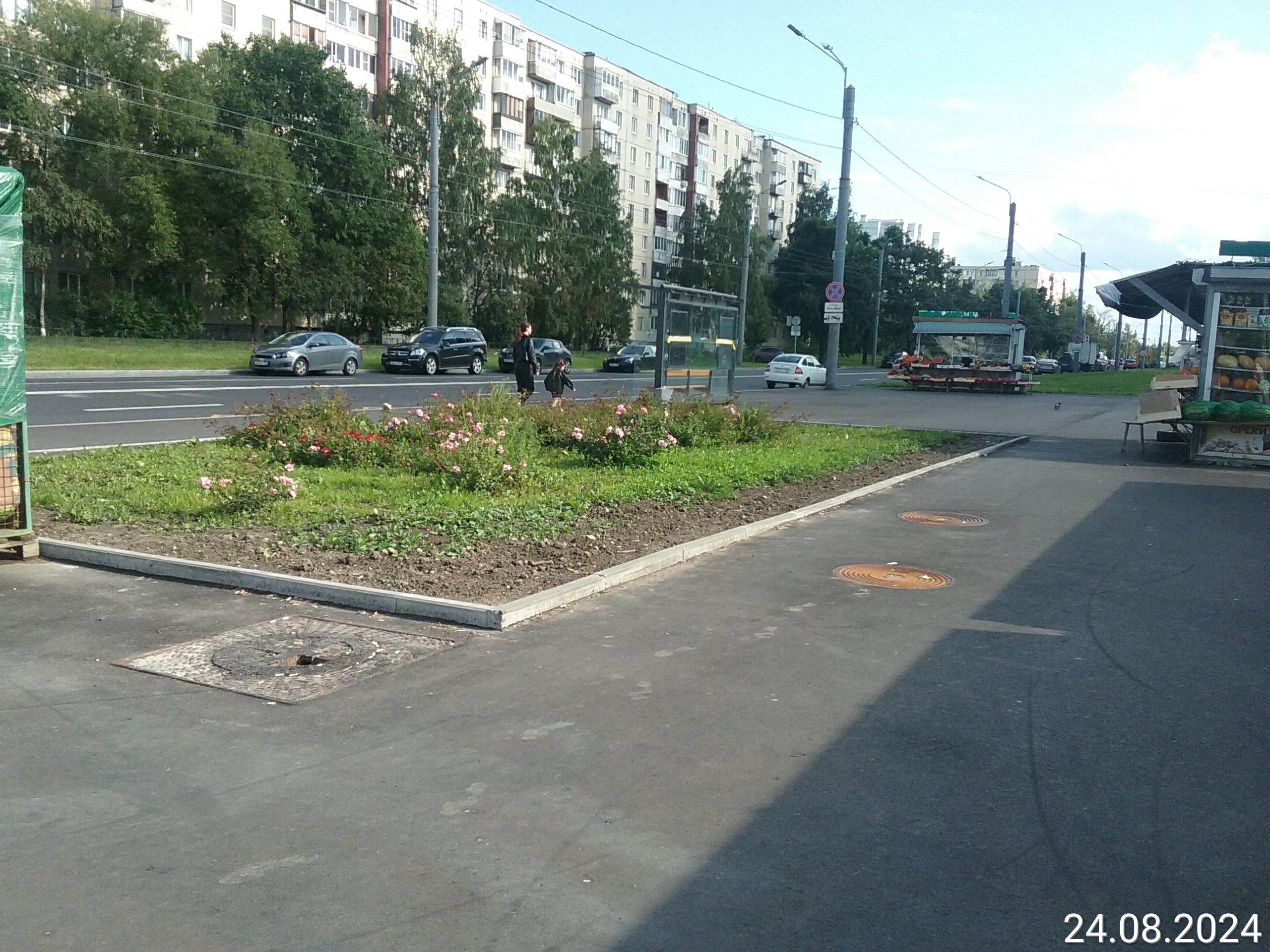 Клумба - Санкт-Петербург