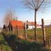 Hoeve met losse besstanddelen