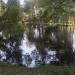 Домик для водоплавающих птиц в городе Москва