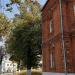 Двухсотлетняя липа. Памятник природы. в городе Владимир