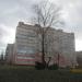 Цветник в городе Череповец