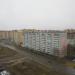 Березовая роща в городе Череповец