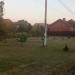 Лесопосадка в городе Долгопрудный
