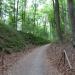 Holle weg in Ronse city