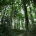 Holle weg in Ronse city