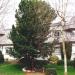 Villa in Ronse city