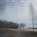 Пляж в городе Череповец