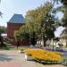 Клумба в городе Владимир