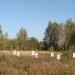 Поляна утерянных букв в городе Киржач