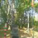 Памятник пограничникам в городе Киржач