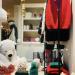 Cottage home and accessories in Ronse city