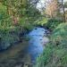 Meandry rzeki Dobrzynka in Łódź city