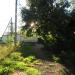 Огороженный пустырь в городе Тайцы
