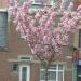 Poortgebouw in Ronse city