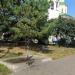 Водоразборная колонка в городе Владимир