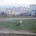Цветник в городе Череповец