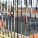 Площадка для воркаута в городе Москва