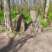 «Камень лжи» в городе Пионерский