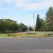 Газон в городе Апатиты