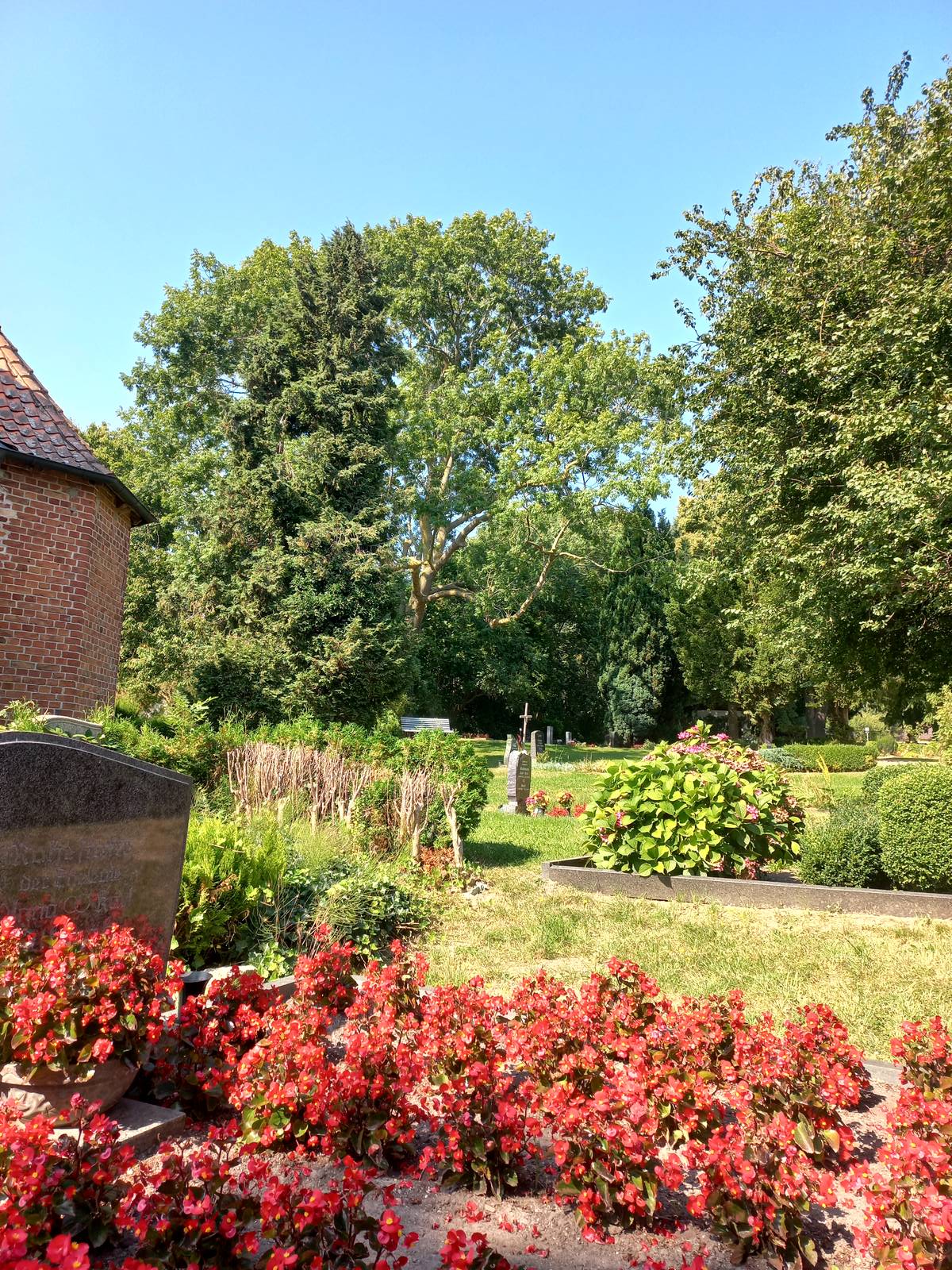Cemetery 