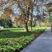 Park im. Ignacego Włodzimierza Garbolewskiego in Sochaczew city